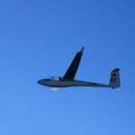 Hornet 206