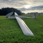 Mosquito 303
