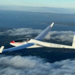 Mosquito 303