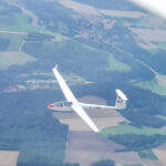 Hornet 206