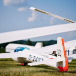 Standard Libelle 201