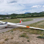 Hornet 206