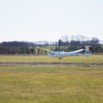 Mosquito 303