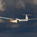 Mosquito 303