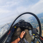 Hornet 206
