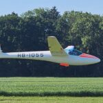 Standard Libelle 201