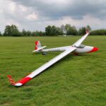 Standard Libelle 201