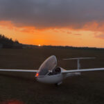 Mosquito 303